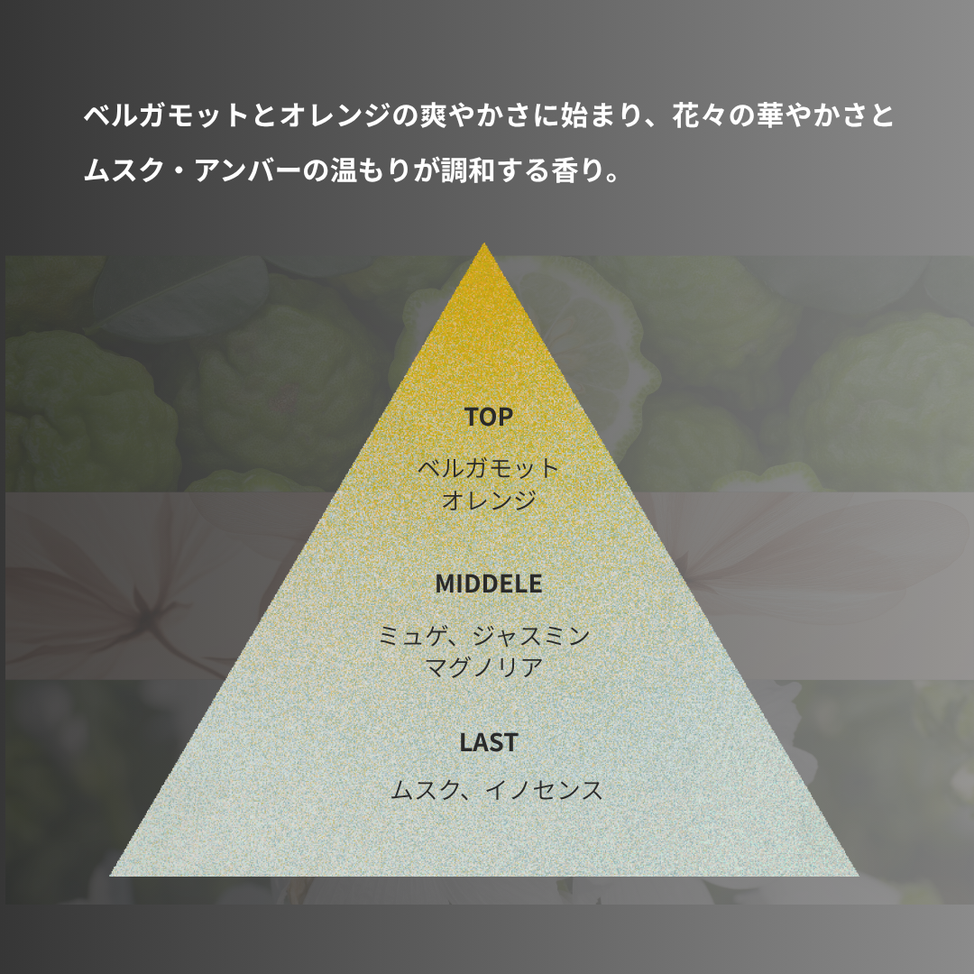Parabolic Love&UNVEIL V ２点セット