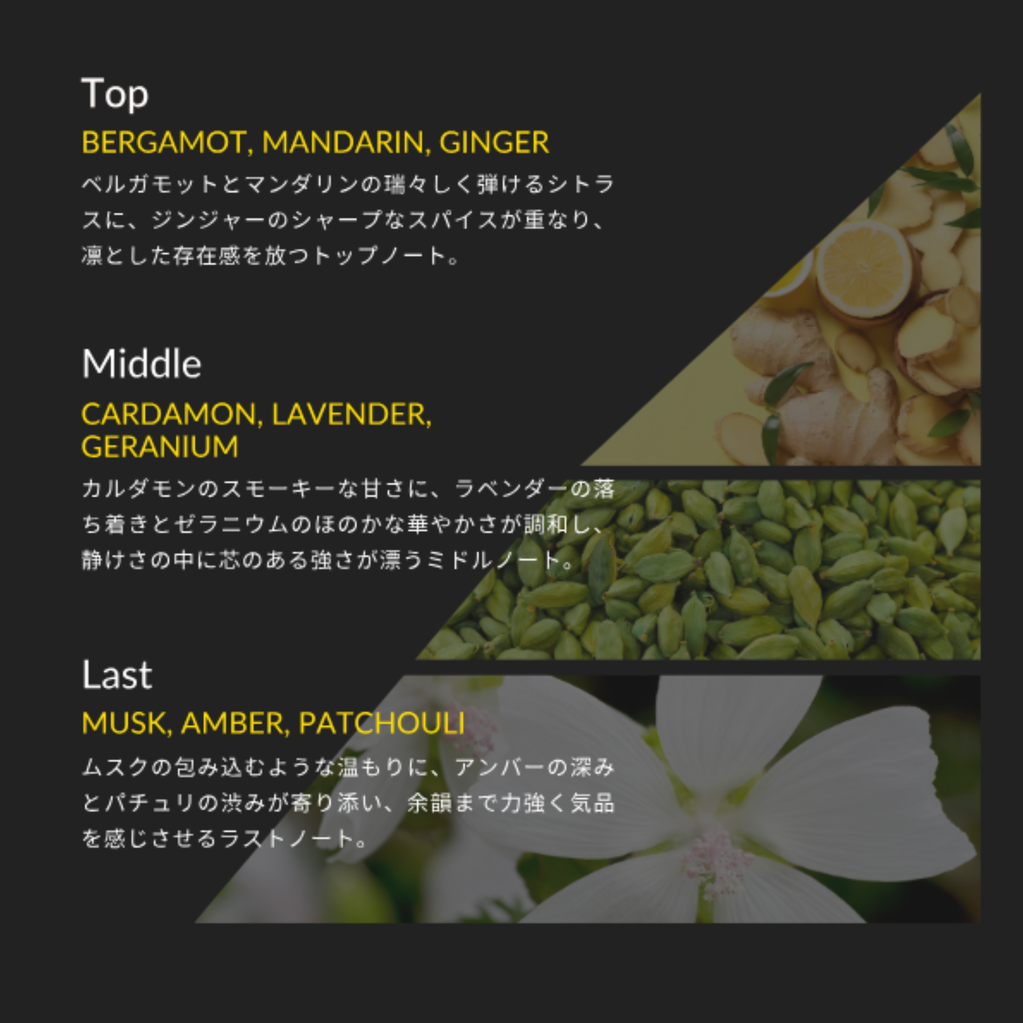 GOLDEN MASH -Produce By Ryotaro Ihara